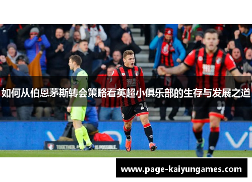 如何从伯恩茅斯转会策略看英超小俱乐部的生存与发展之道