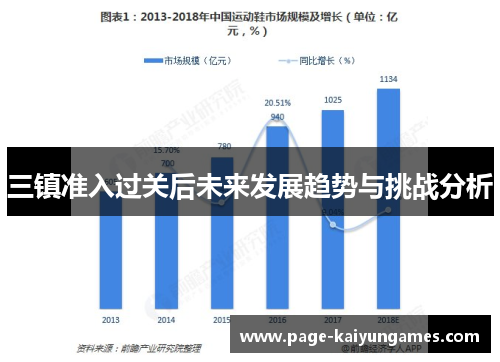 三镇准入过关后未来发展趋势与挑战分析
