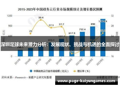 深圳足球未来潜力分析：发展现状、挑战与机遇的全面探讨