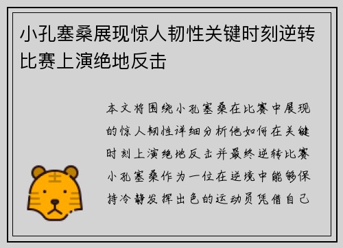 小孔塞桑展现惊人韧性关键时刻逆转比赛上演绝地反击